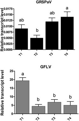 Raman Spectroscopy Applications in Grapevine: Metabolic Analysis of Plants Infected by Two Different Viruses